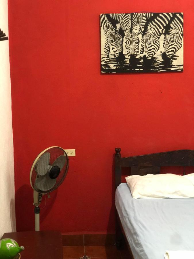 Hostal Vacaciones Nicas León Dış mekan fotoğraf