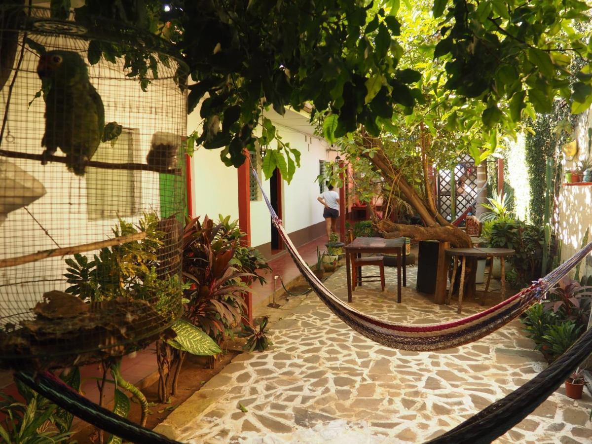 Hostal Vacaciones Nicas León Dış mekan fotoğraf